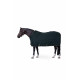 Derka stajenna Horze Glasgow pony 200g